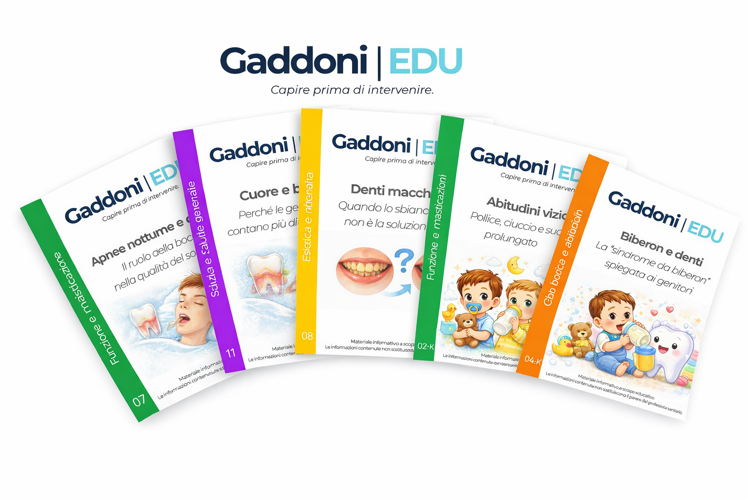 Libricini Gaddoni EDU a ventaglio